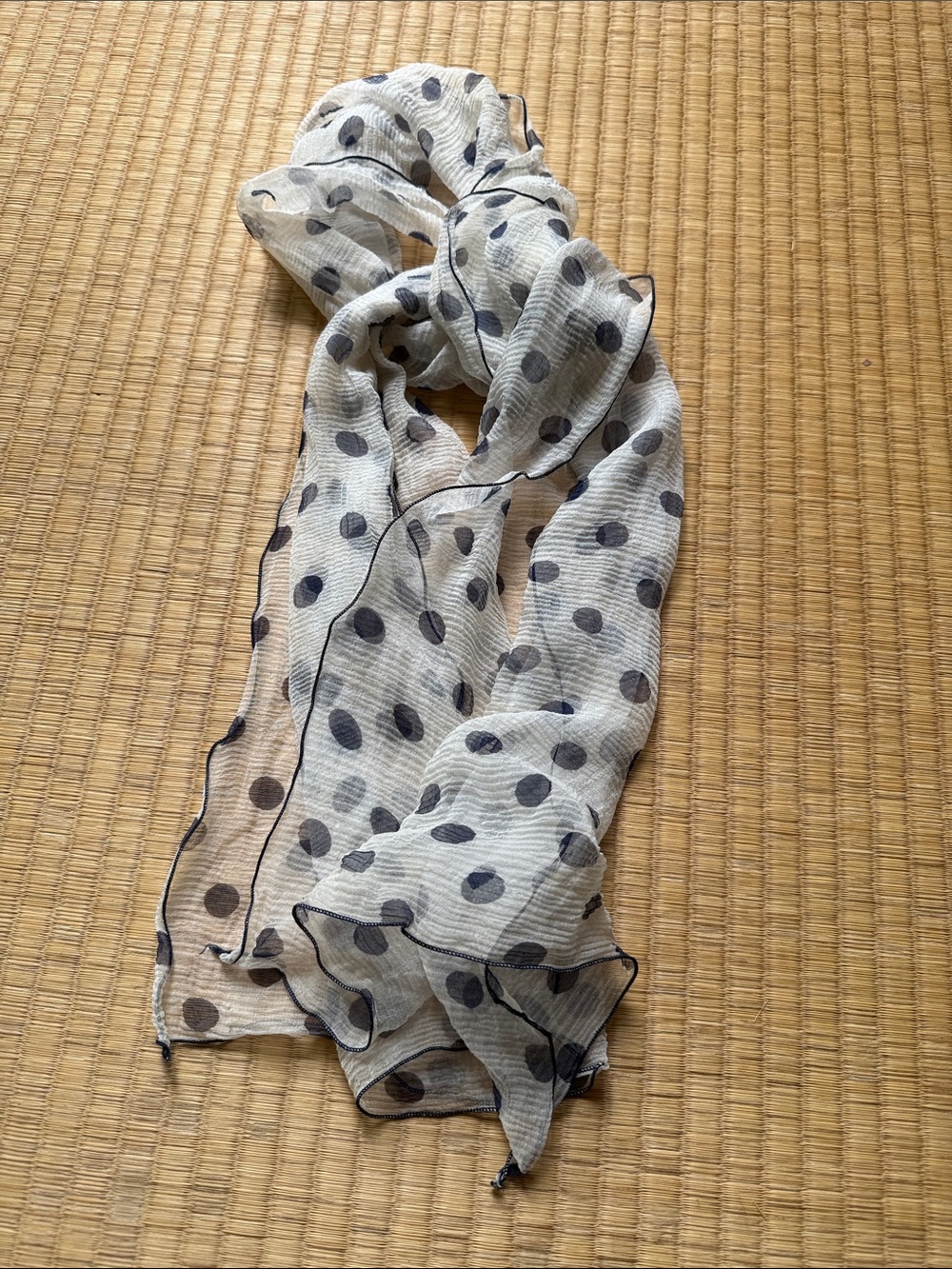 Chiffon Polka Dot Sheer Scarf in Ivory and Navy